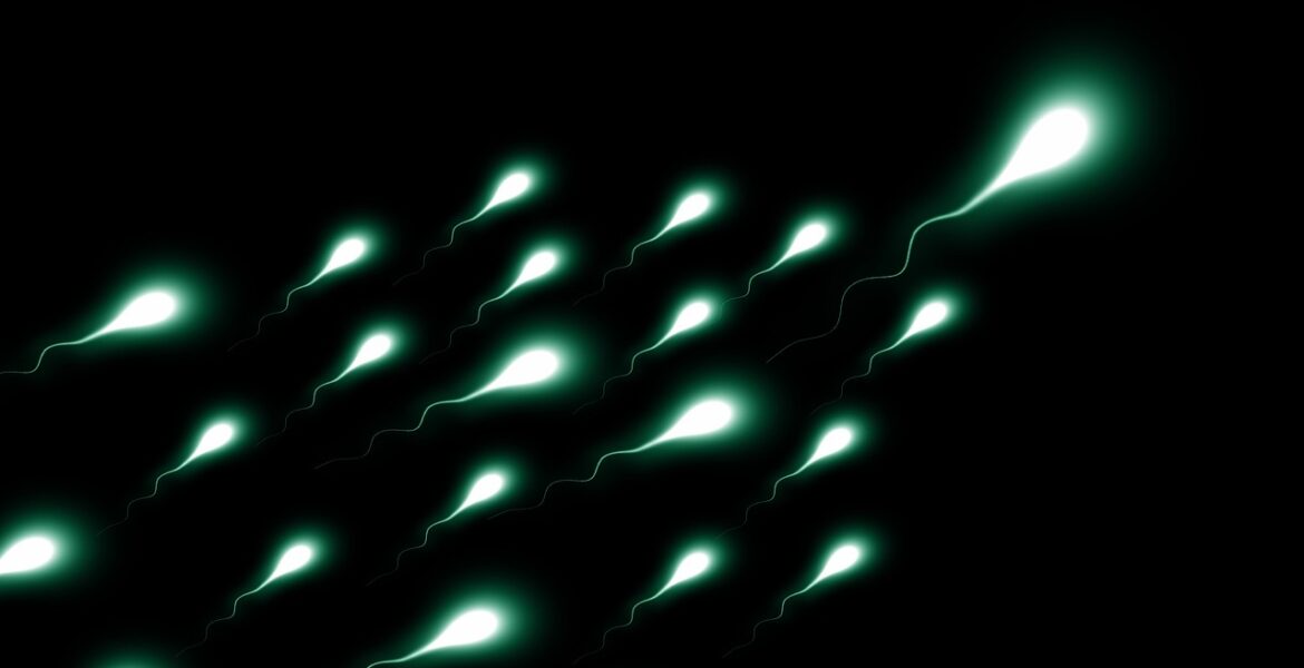 płodność mężczyzn